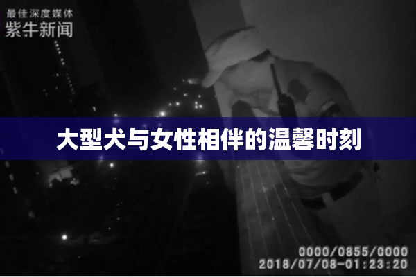 大型犬与女性相伴的温馨时刻