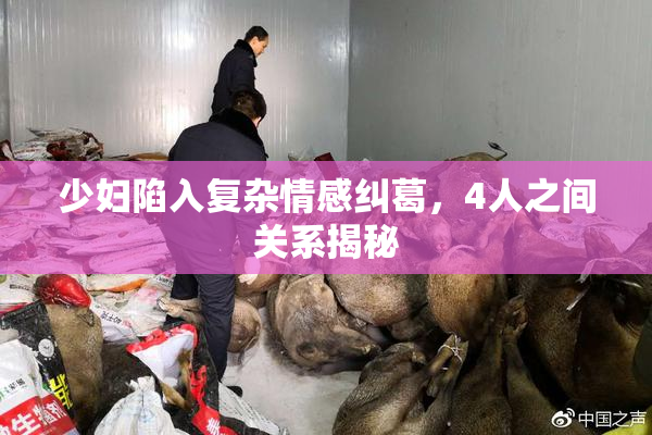 少妇陷入复杂情感纠葛，4人之间关系揭秘