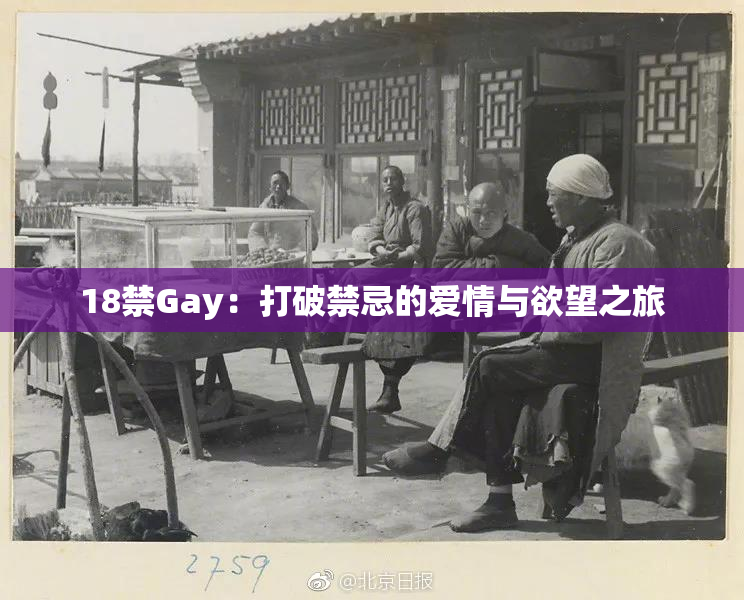 18禁Gay：打破禁忌的爱情与欲望之旅