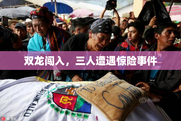 双龙闯入，三人遭遇惊险事件