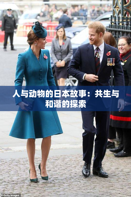 人与动物的日本故事：共生与和谐的探索