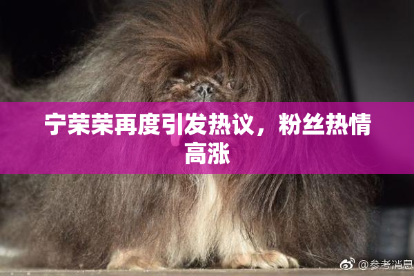 宁荣荣再度引发热议，粉丝热情高涨