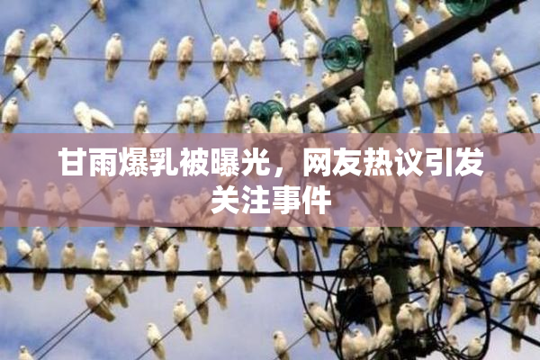 甘雨爆乳被曝光，网友热议引发关注事件