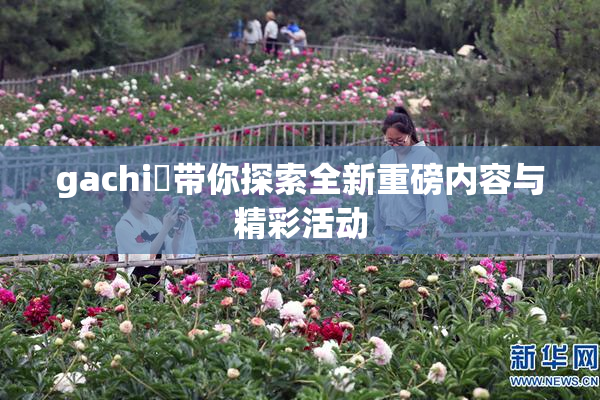 gachi籣带你探索全新重磅内容与精彩活动