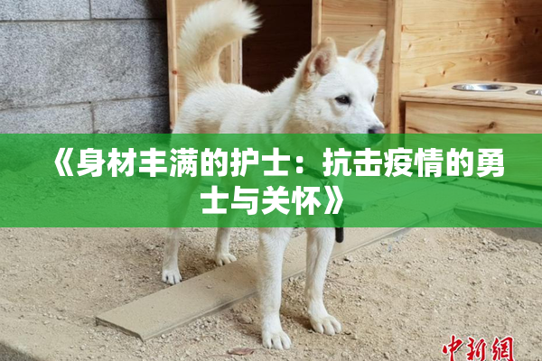 《身材丰满的护士：抗击疫情的勇士与关怀》