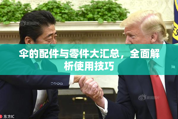 伞的配件与零件大汇总，全面解析使用技巧