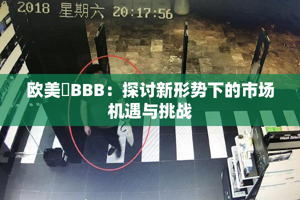 欧美槡BBB：探讨新形势下的市场机遇与挑战