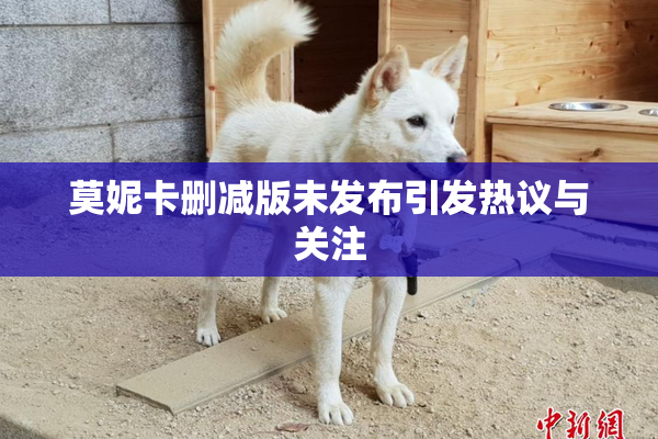 莫妮卡删减版未发布引发热议与关注