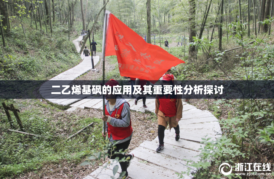 二乙烯基砜的应用及其重要性分析探讨