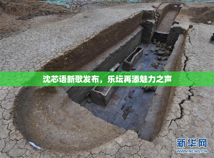 沈芯语新歌发布，乐坛再添魅力之声