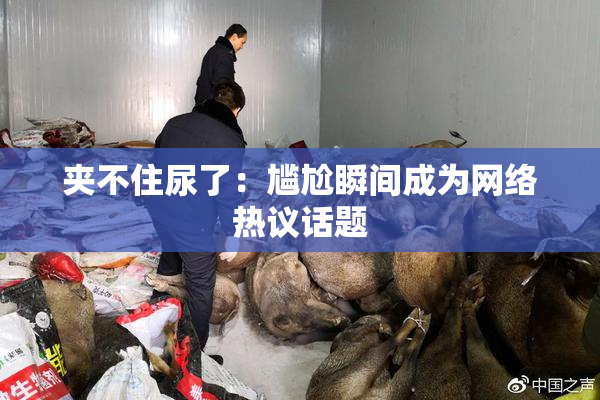 夹不住尿了：尴尬瞬间成为网络热议话题