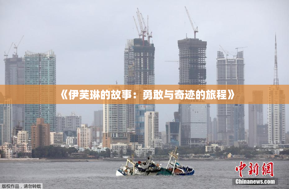 《伊芙琳的故事：勇敢与奇迹的旅程》