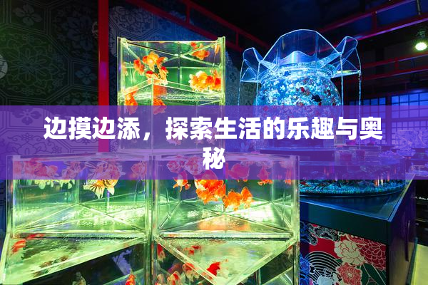 边摸边添，探索生活的乐趣与奥秘