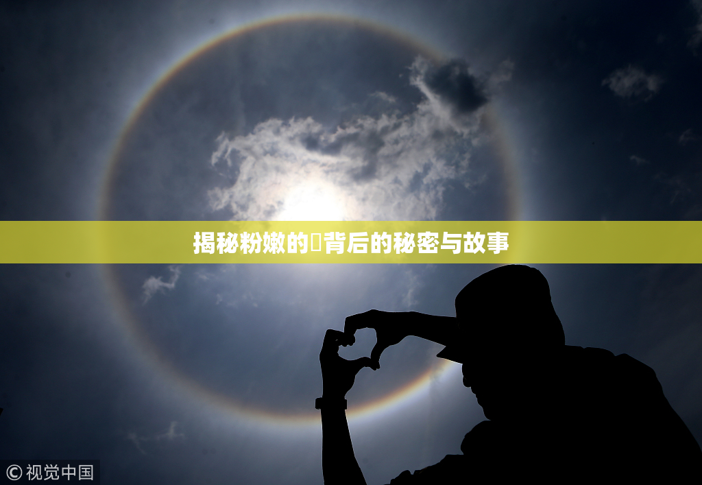 揭秘粉嫩的泬背后的秘密与故事