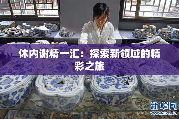 休内谢精一汇：探索新领域的精彩之旅