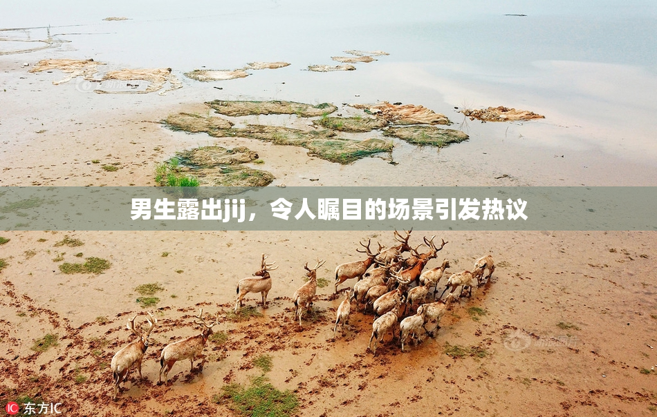 男生露出jij，令人瞩目的场景引发热议