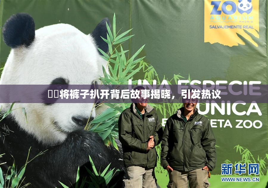 妺妺将裤子扒开背后故事揭晓，引发热议