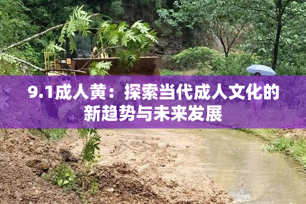 9.1成人黄：探索当代成人文化的新趋势与未来发展