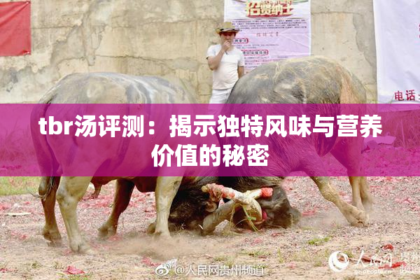 tbr汤评测：揭示独特风味与营养价值的秘密