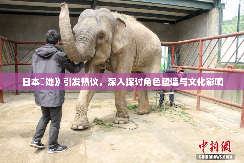 日本巜她》引发热议，深入探讨角色塑造与文化影响