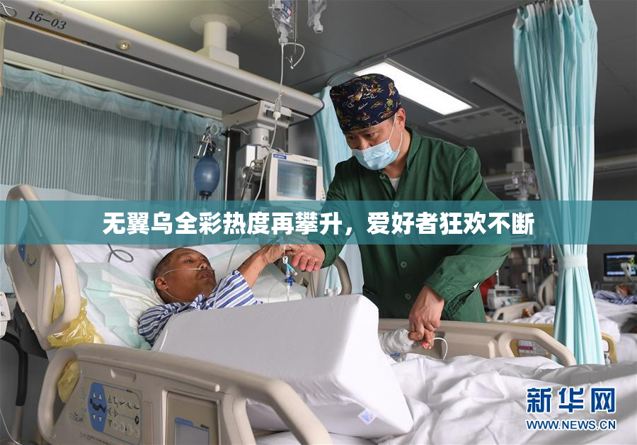 无翼乌全彩热度再攀升，爱好者狂欢不断