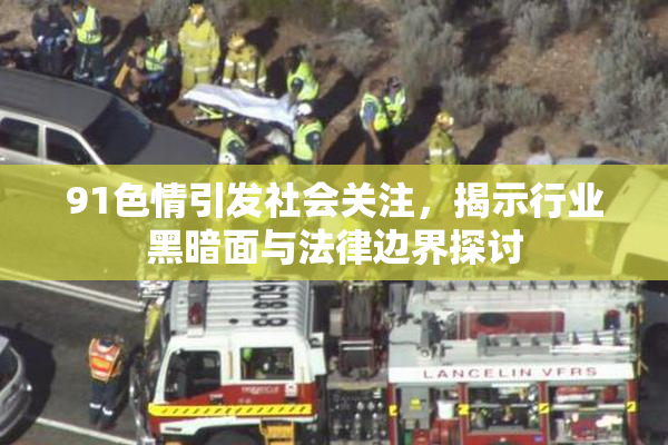 91色情引发社会关注，揭示行业黑暗面与法律边界探讨