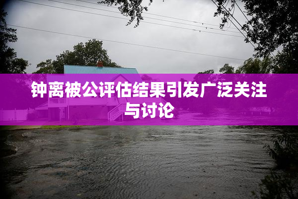 钟离被公评估结果引发广泛关注与讨论