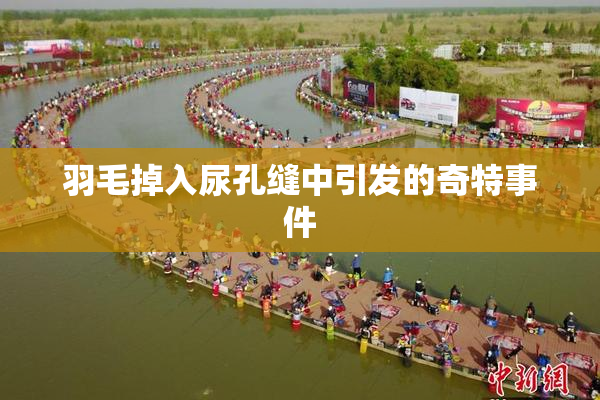 羽毛掉入尿孔缝中引发的奇特事件