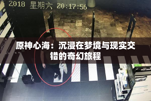 原神心海：沉浸在梦境与现实交错的奇幻旅程