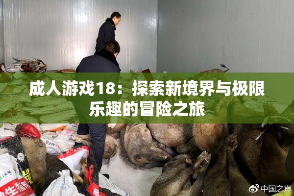 成人游戏18：探索新境界与极限乐趣的冒险之旅