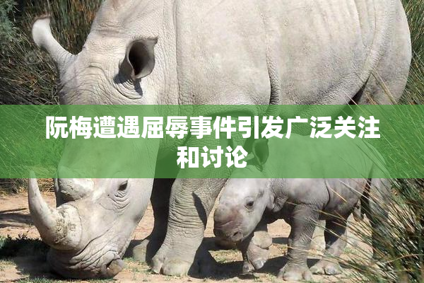 阮梅遭遇屈辱事件引发广泛关注和讨论