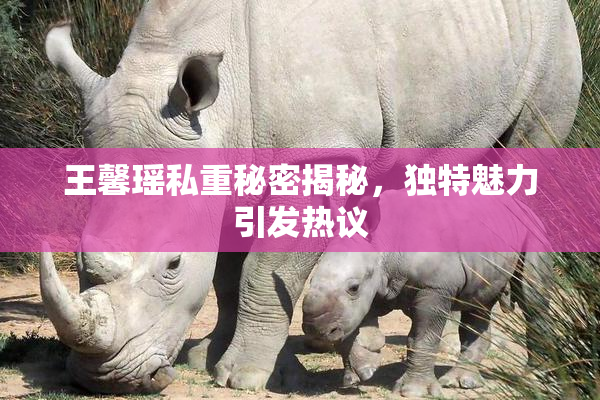 王馨瑶私重秘密揭秘，独特魅力引发热议