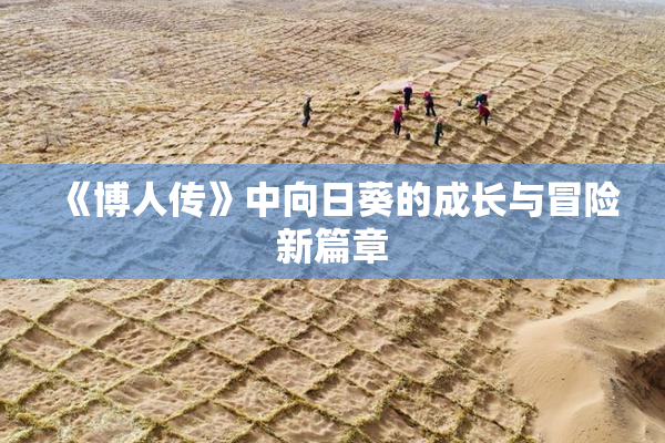 《博人传》中向日葵的成长与冒险新篇章