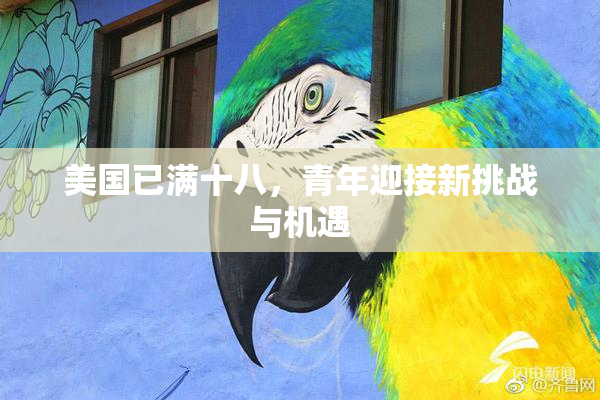 美国已满十八，青年迎接新挑战与机遇