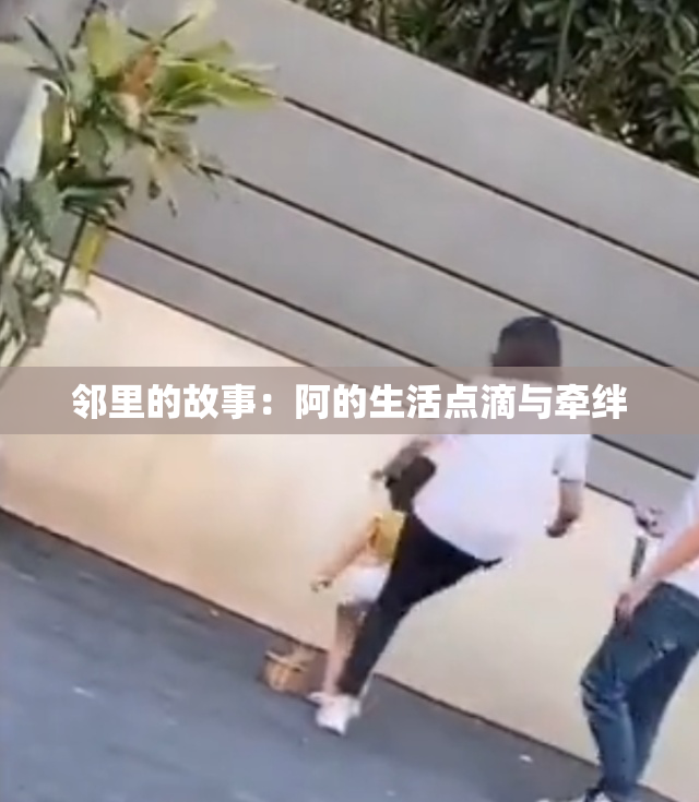邻里的故事：阿的生活点滴与牵绊