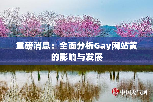重磅消息：全面分析Gay网站黄的影响与发展