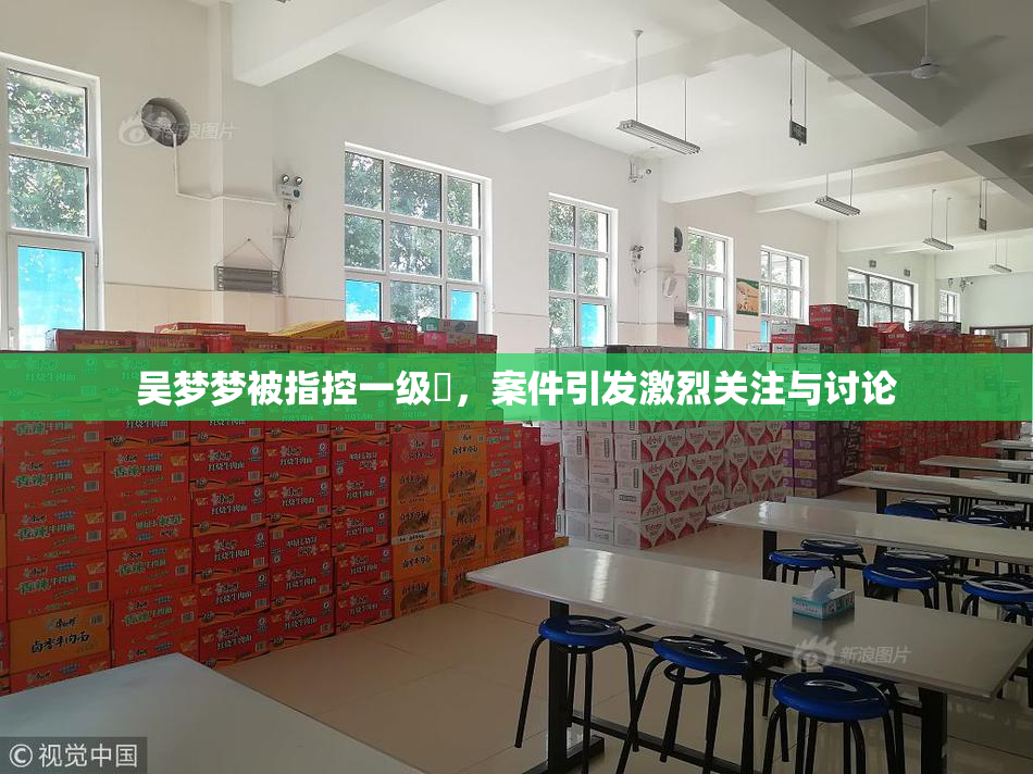吴梦梦被指控一级婬，案件引发激烈关注与讨论