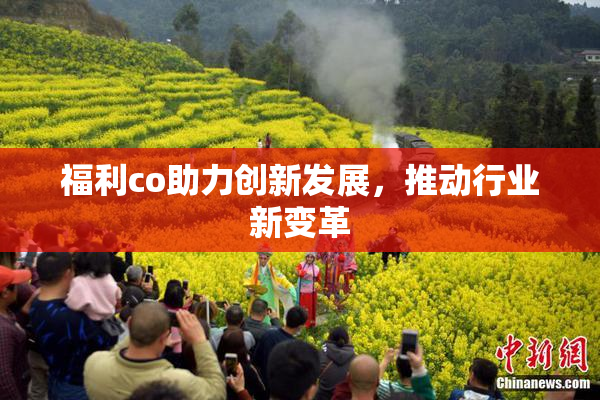 福利co助力创新发展，推动行业新变革