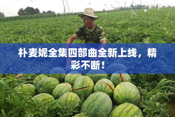 朴麦妮全集四部曲全新上线，精彩不断！