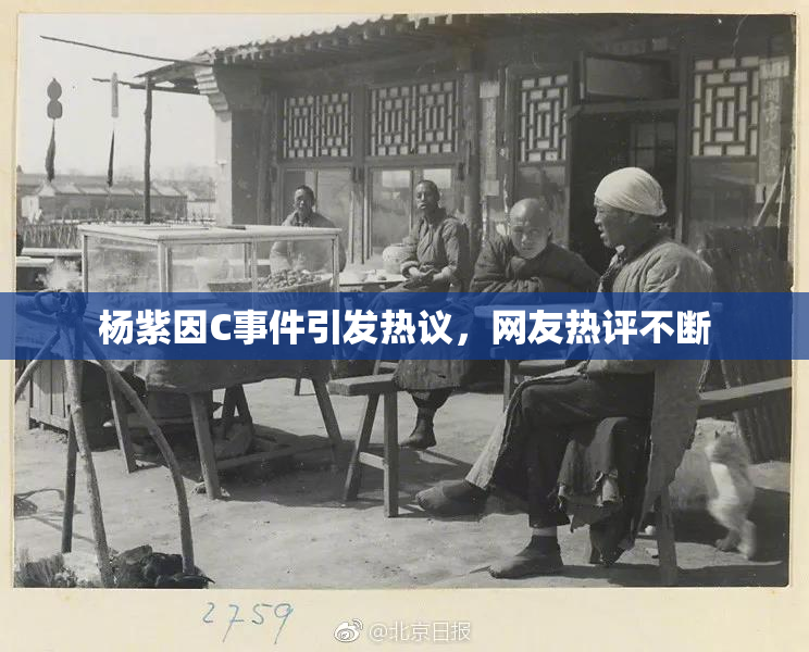 杨紫因C事件引发热议，网友热评不断