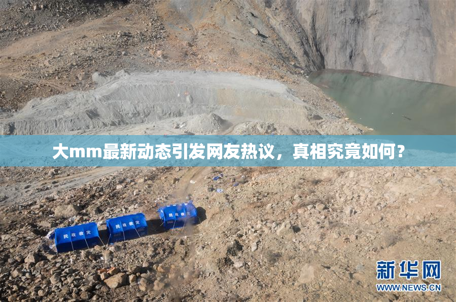 大mm最新动态引发网友热议，真相究竟如何？