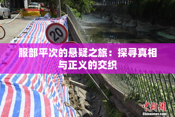 服部平次的悬疑之旅：探寻真相与正义的交织
