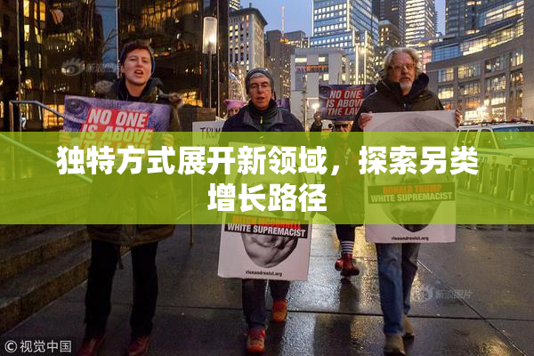 独特方式展开新领域，探索另类增长路径