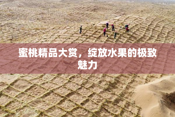 蜜桃精品大赏，绽放水果的极致魅力