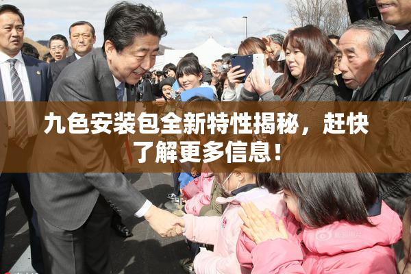 九色安装包全新特性揭秘，赶快了解更多信息！
