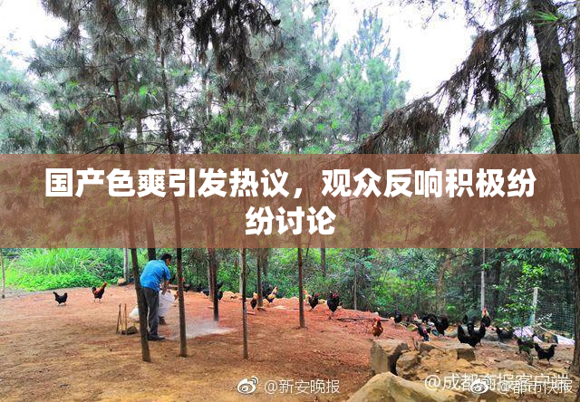 国产色爽引发热议，观众反响积极纷纷讨论
