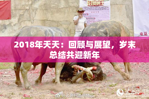 2018年天天：回顾与展望，岁末总结共迎新年