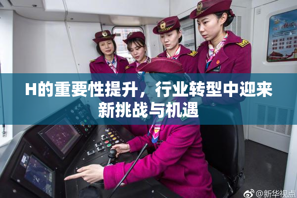 H的重要性提升，行业转型中迎来新挑战与机遇