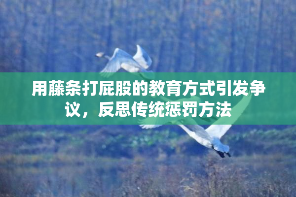 用藤条打屁股的教育方式引发争议，反思传统惩罚方法
