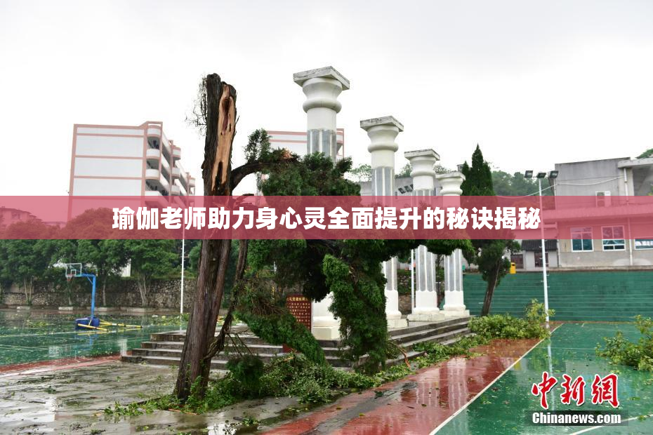 瑜伽老师助力身心灵全面提升的秘诀揭秘
